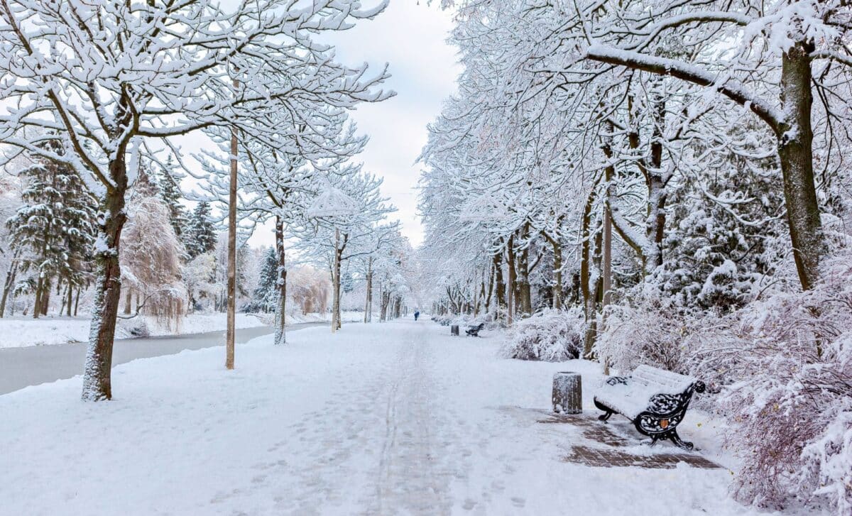 Met Office Reveals When Snow Is Most Likely To Hit Britain As El Niño Intensifies