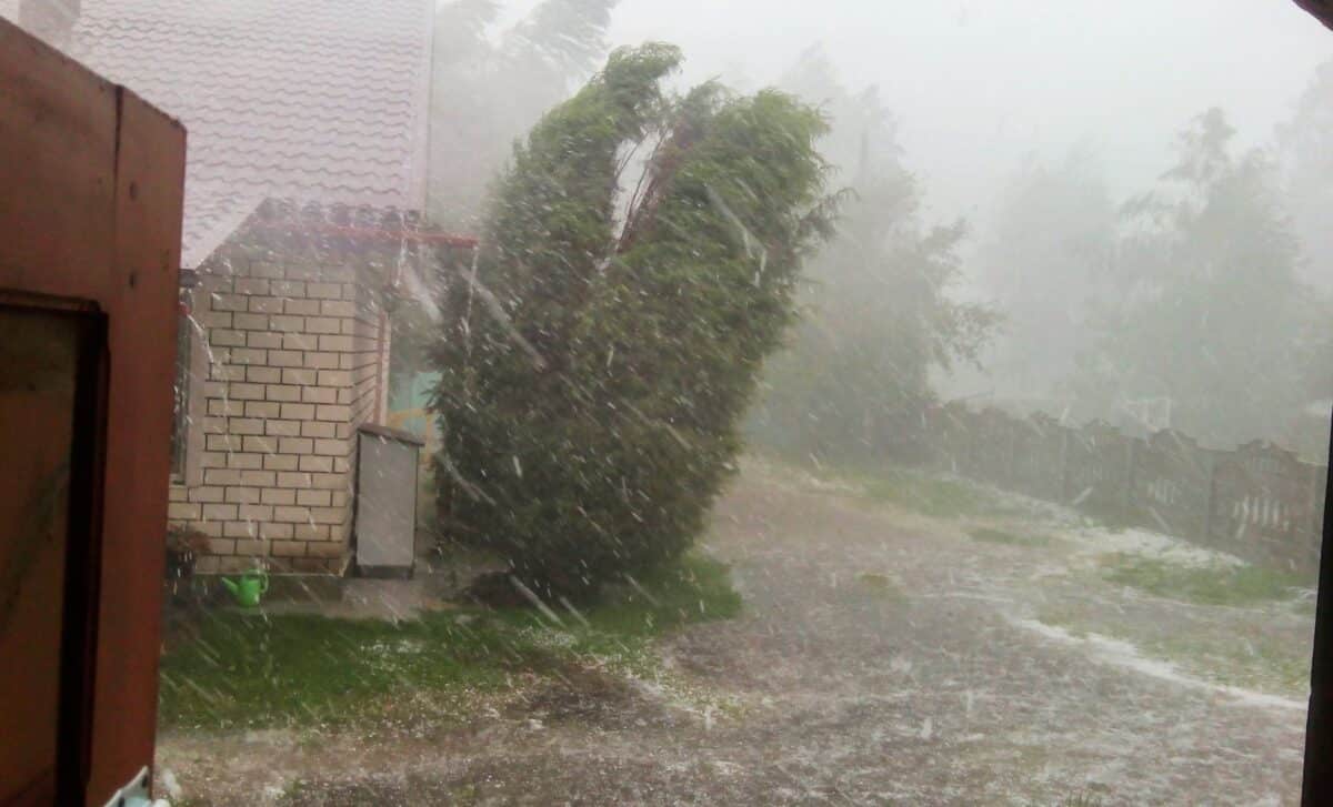 Storm