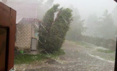 Storm