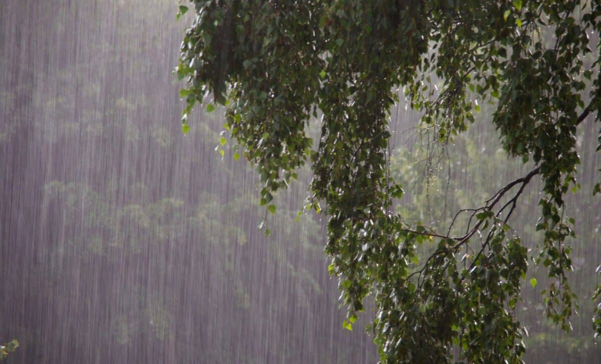 Temperatures To Tumble Across UK As Warmer Spell Comes to an Abrupt End