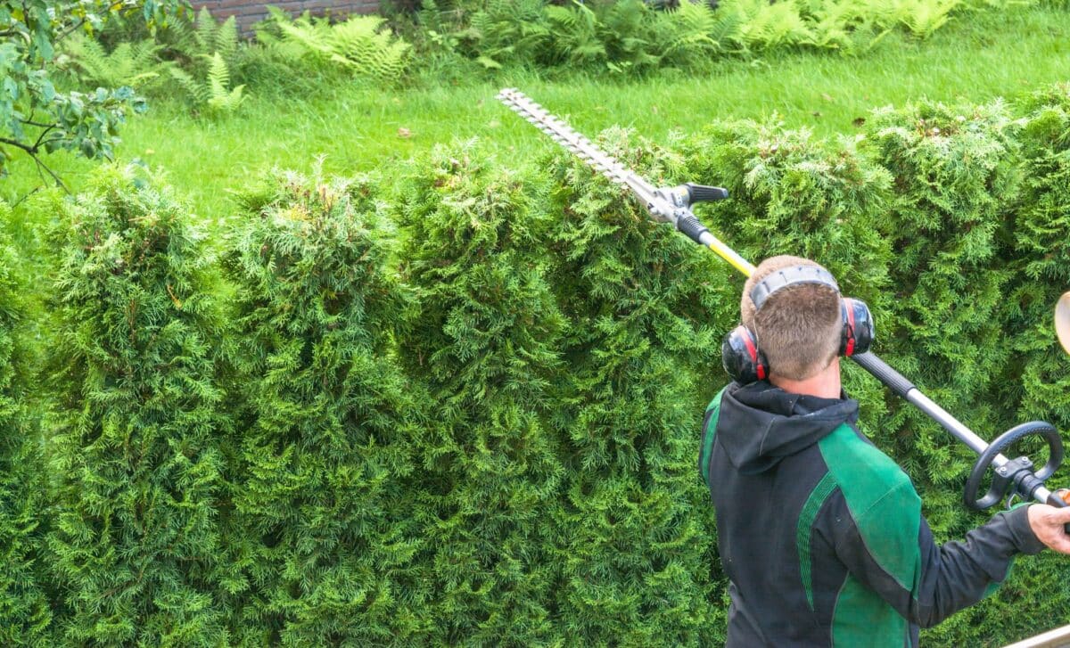 Jersey Hedge Warning: Landowners Could Face Fines Under New Rules