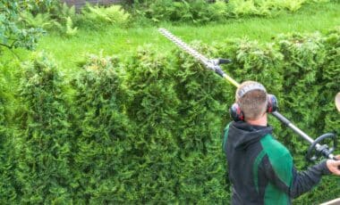 Jersey Hedge Warning: Landowners Could Face Fines Under New Rules