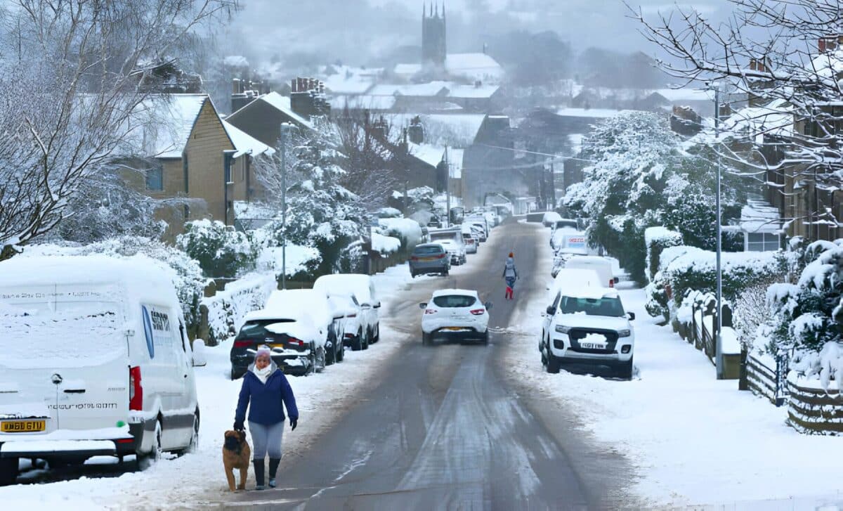 A Person Walks His Dog On A Snowy Weather