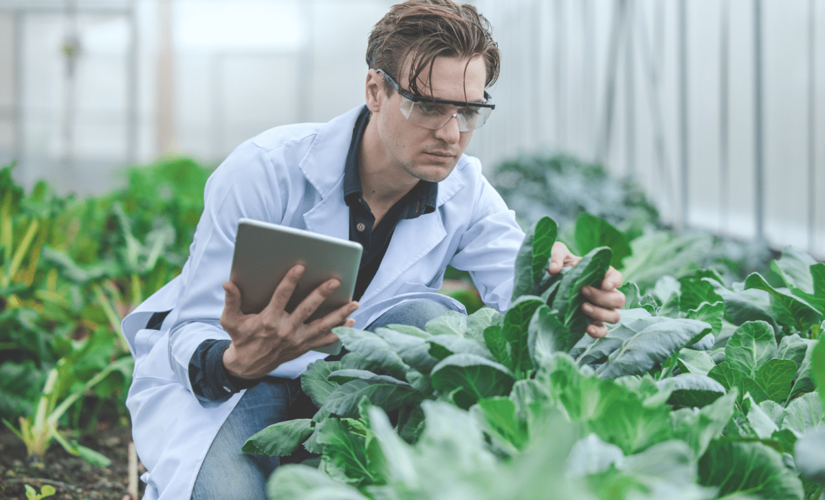 Man Working In the Agricultural Research Field