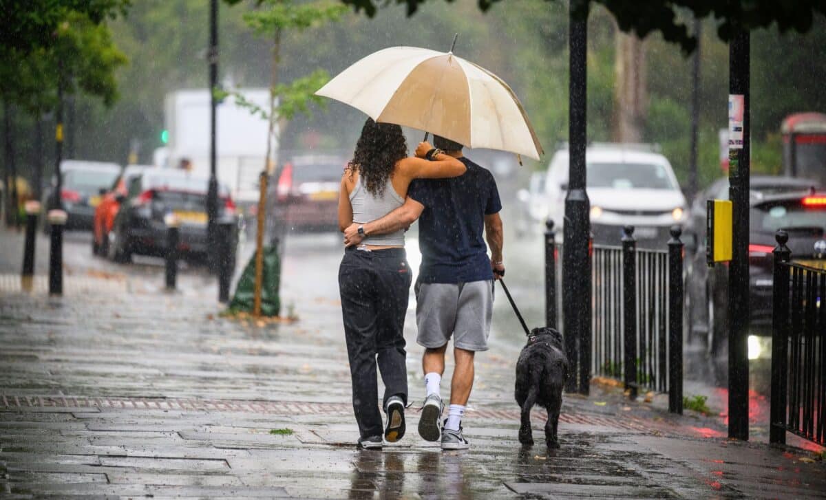 A Couple Walking A Dog In A Rainy Weather While Holding An Umbrella.