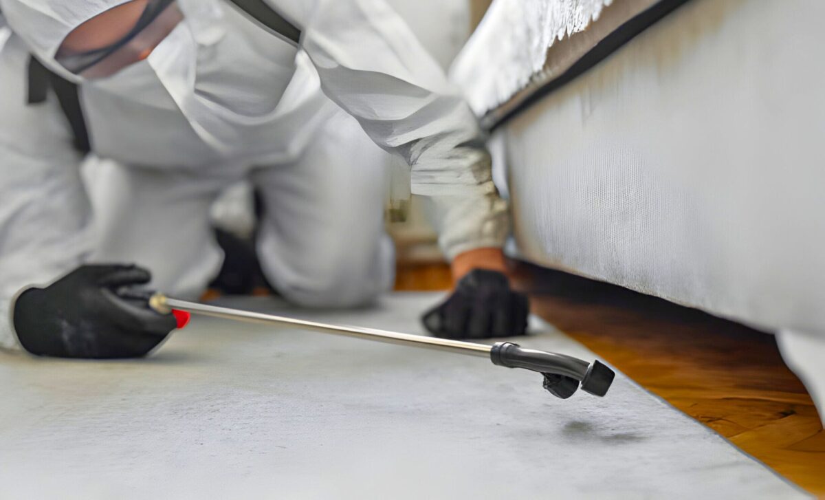 Man In Protective Suit Disinfecting And Spraying Anti Bugs Solution