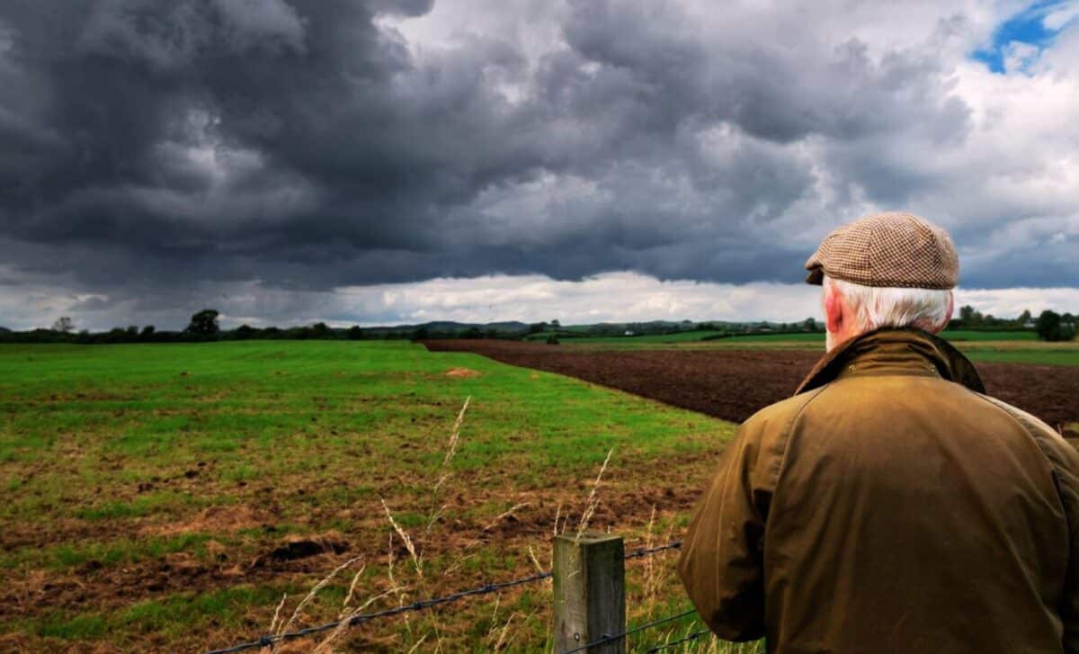 Weather - An Elderly Man Stands In A Field On A Cloudy Day