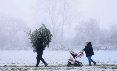 James O'brien Carries A Christmas Tree During A Snowy Weather