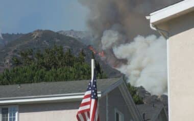 wildfire burning on a hillside near a residential area.