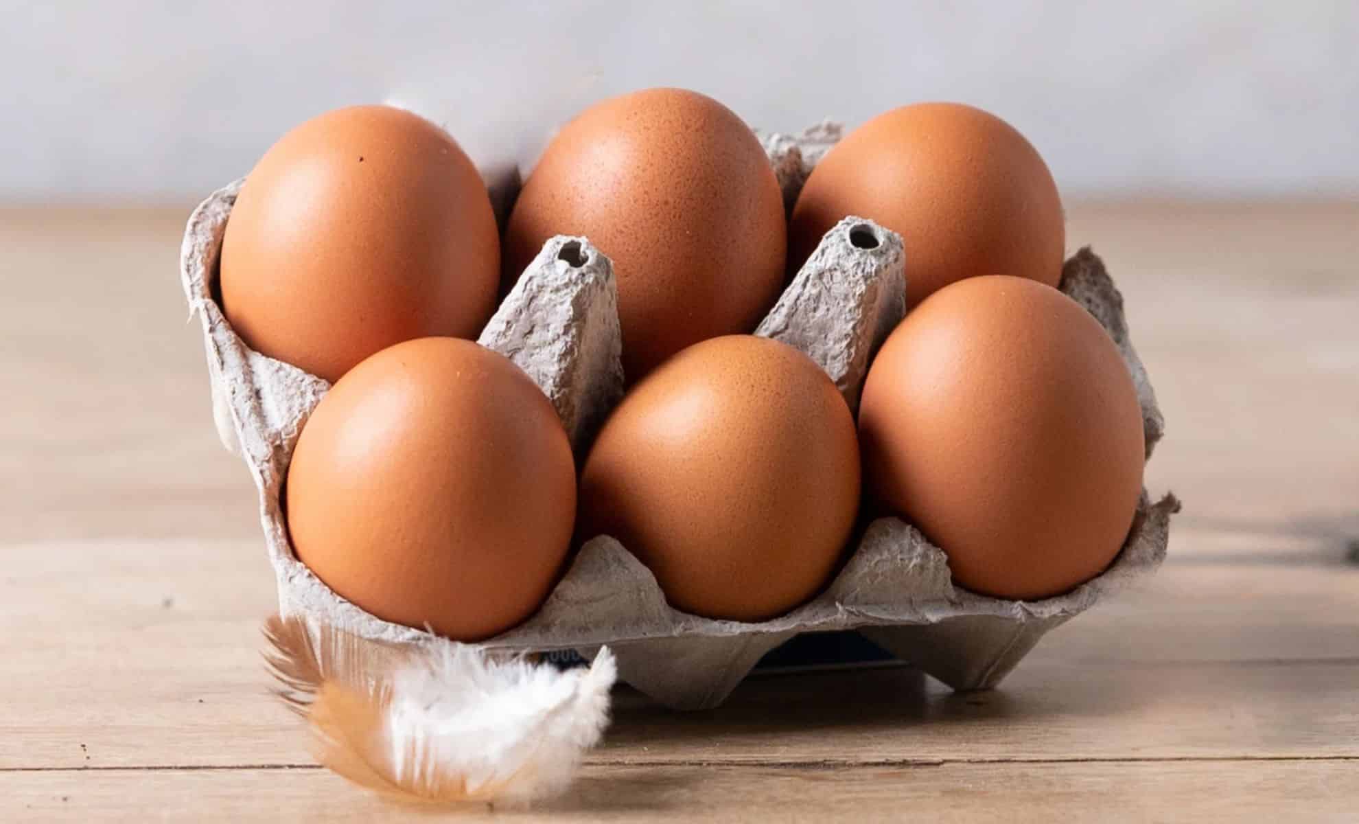 Egg Prices Through the Roof The Factors Behind the Increase Explained