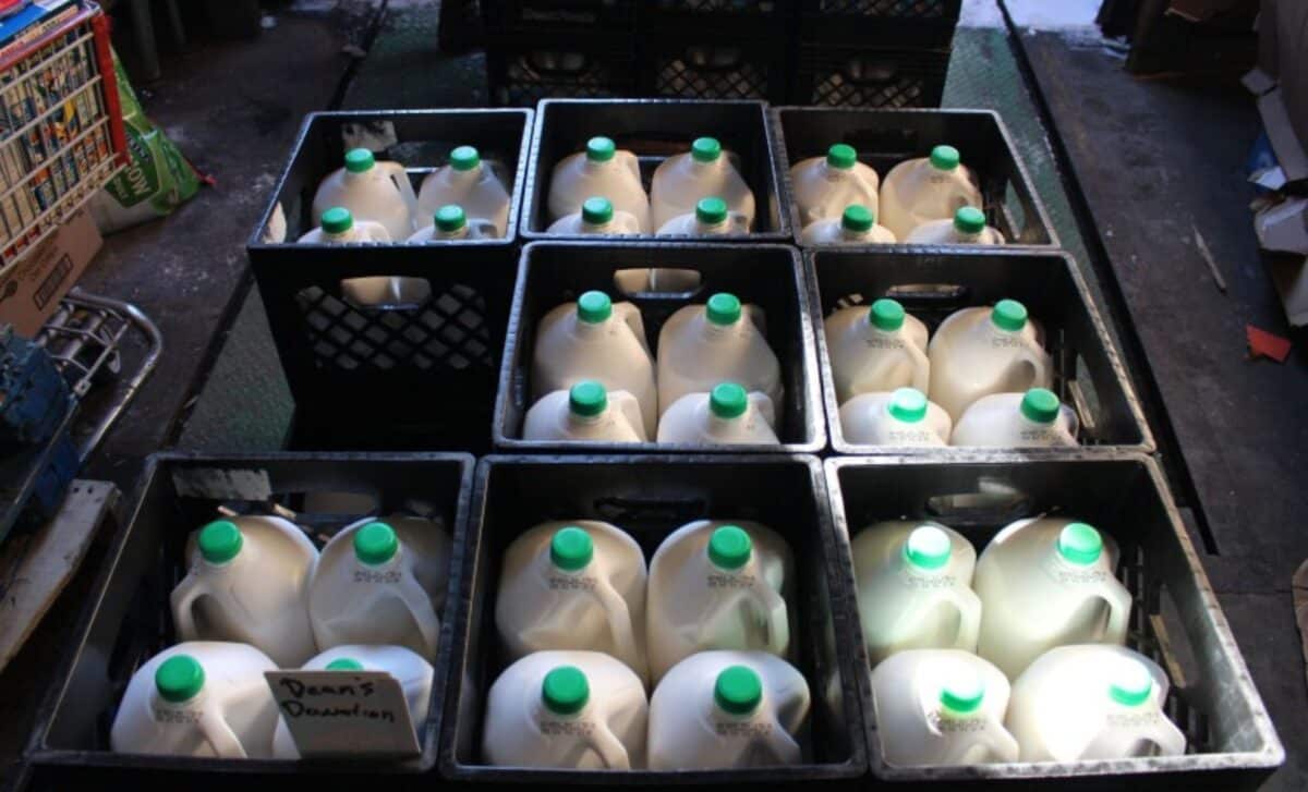 FDA milk testing halted