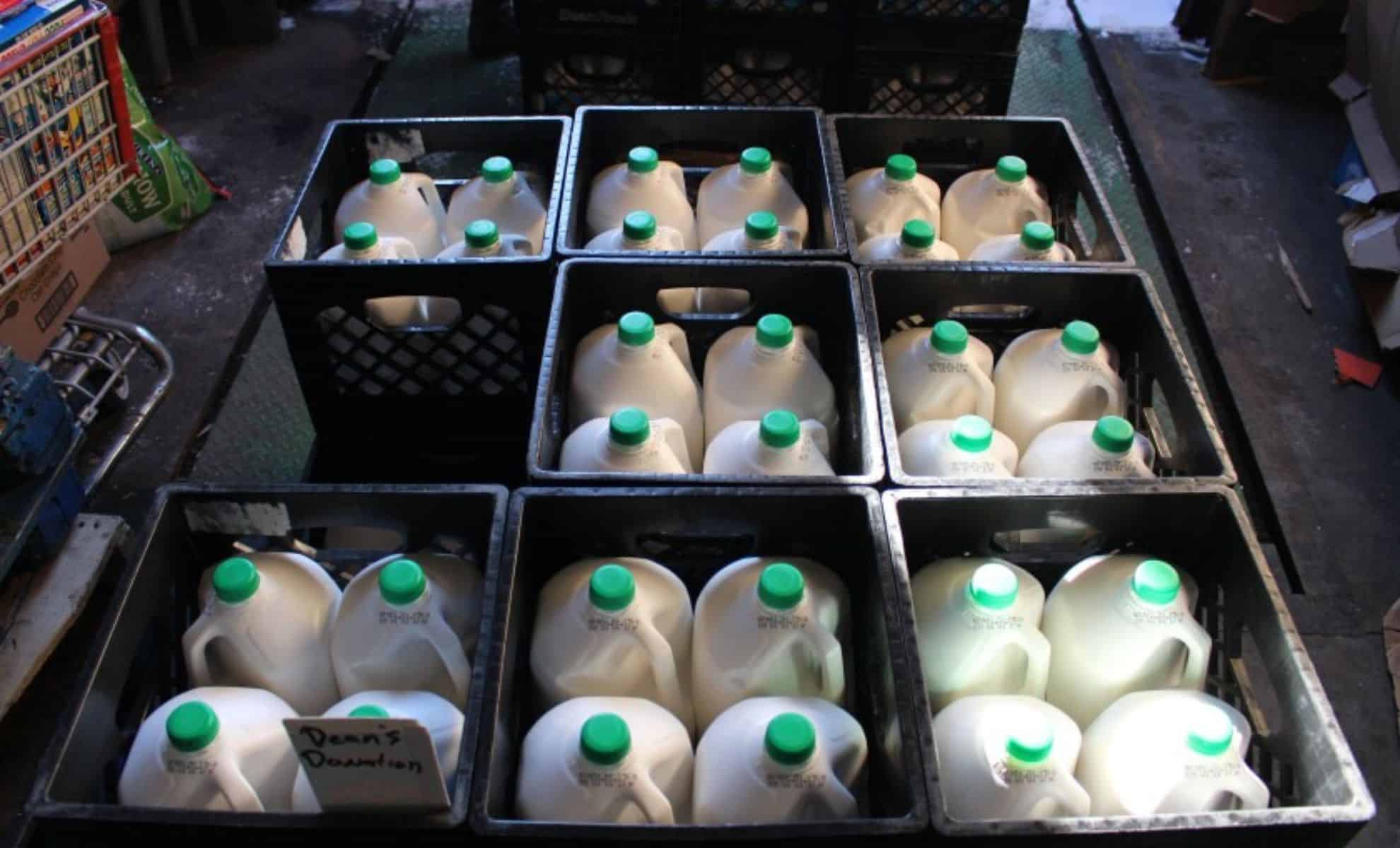 FDA milk testing halted
