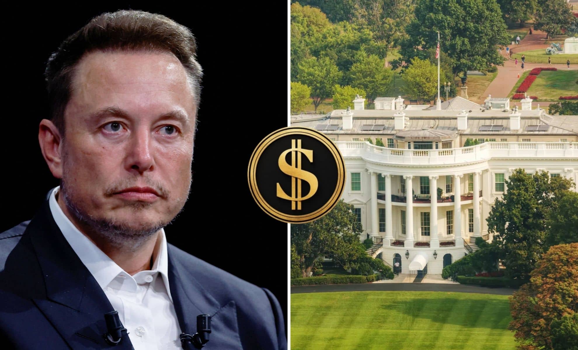 Elon musk doge data breach risk