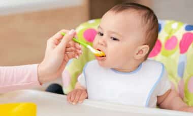 Publix baby food recall