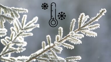 Frost Alert