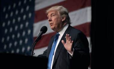 Musk trump bill warning