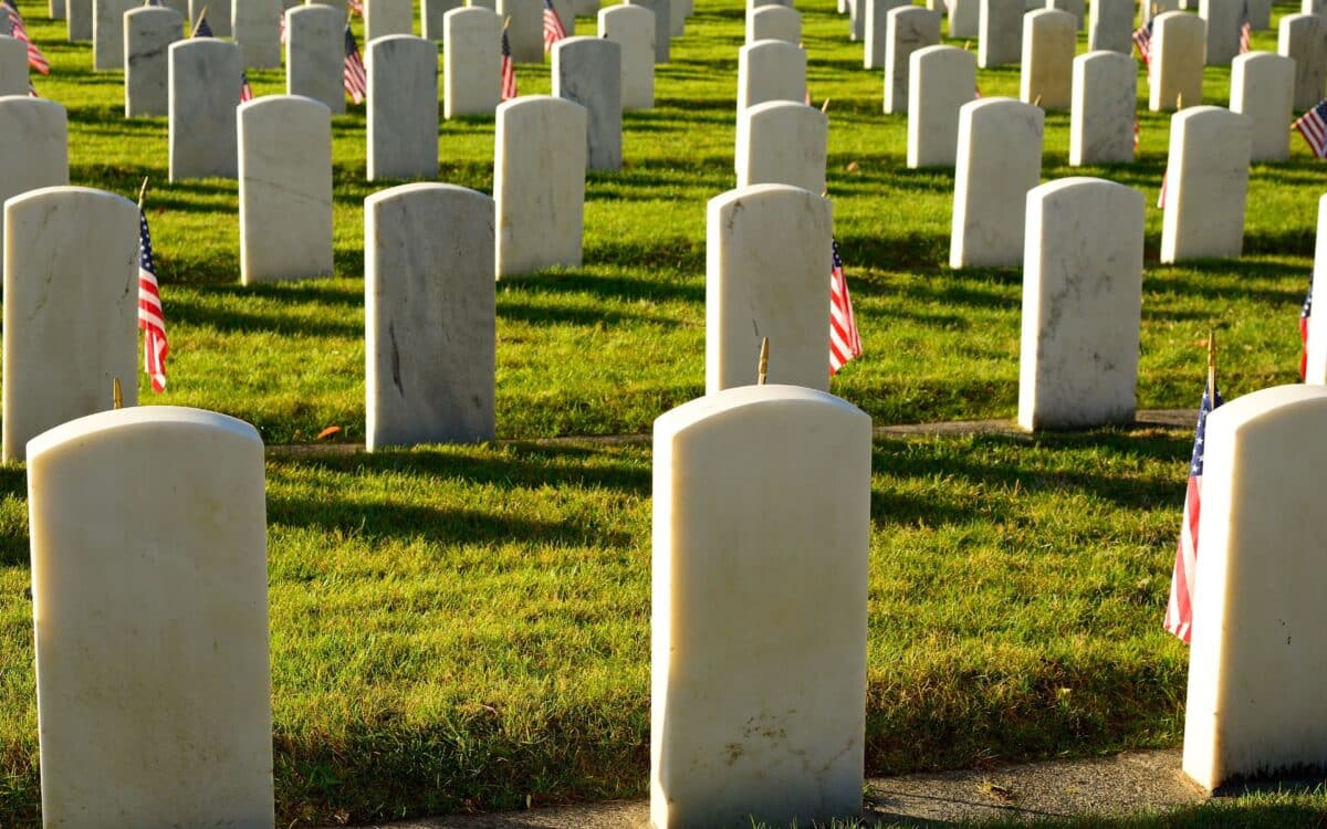 US Veteran's Day