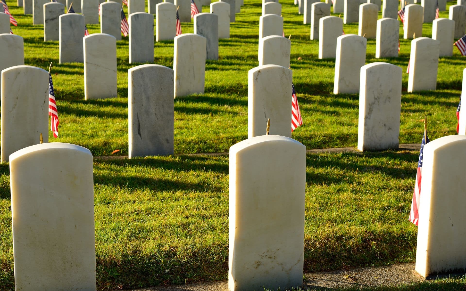 US Veteran's Day