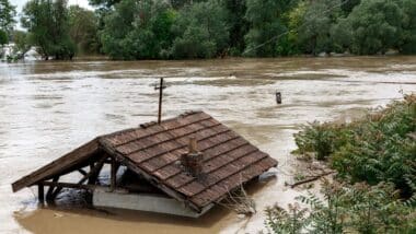 Flood