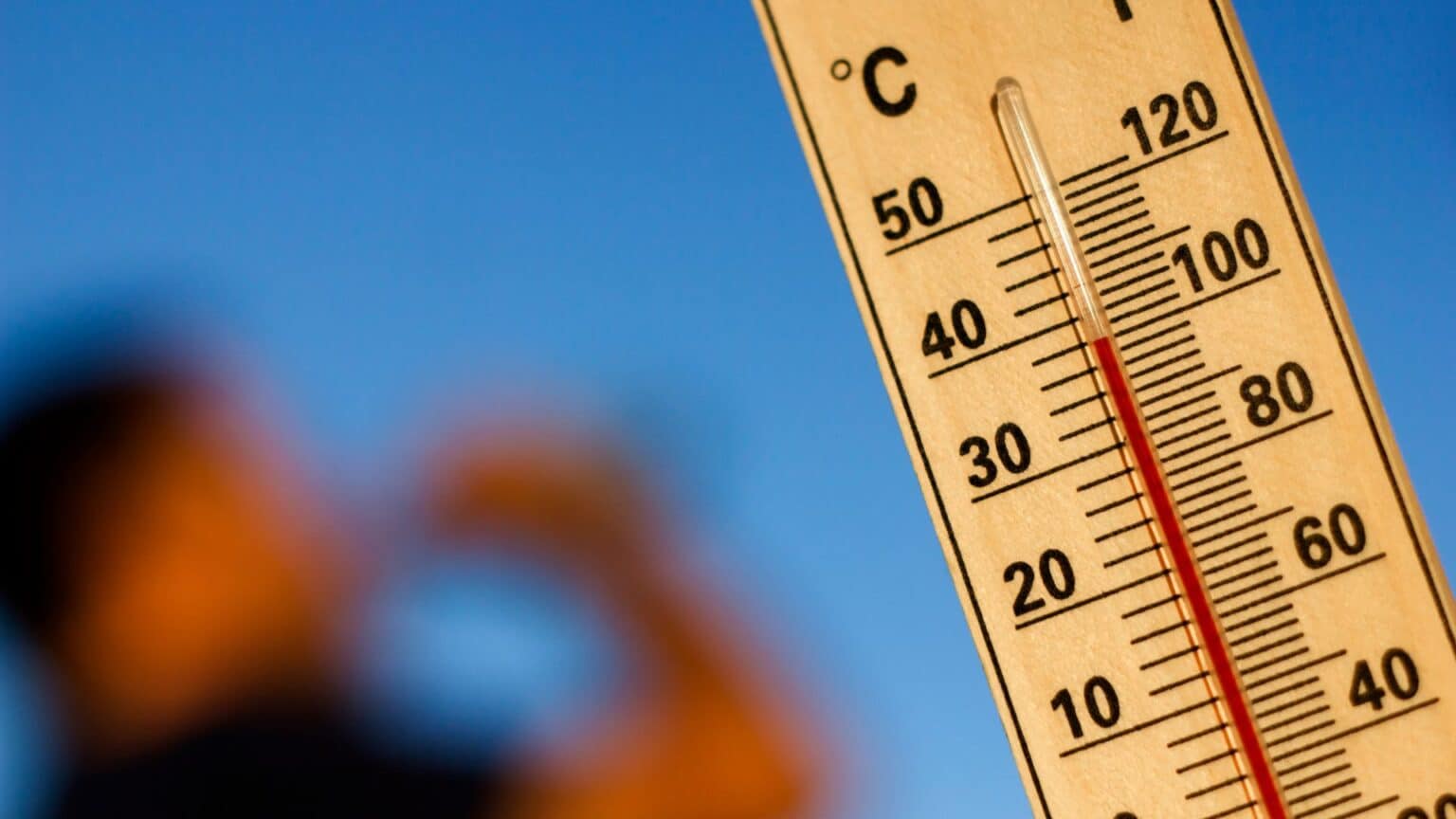 Dangerous Heat wave Grips U.S.—And Coffee Might Make It Worse