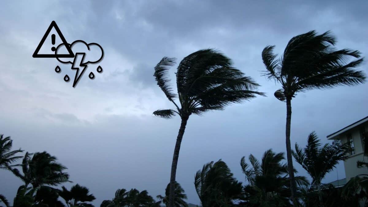 Tropical disturbance