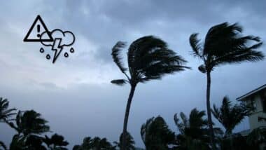 Tropical disturbance