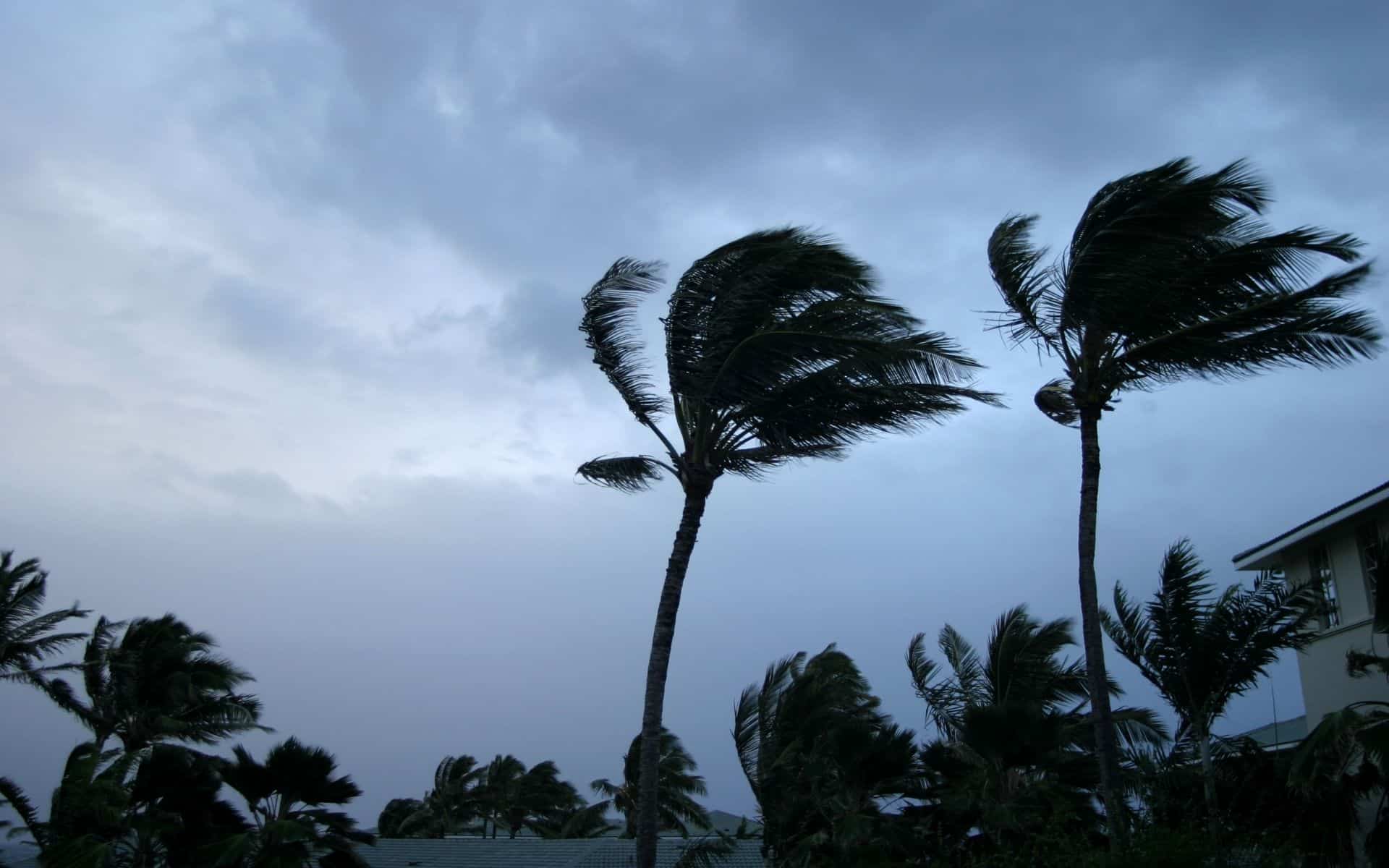 Tropical Storm Erin Expected to Become First Major Hurricane of 2025 Season