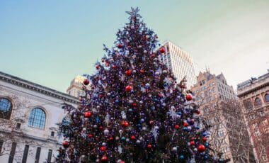 Christmas 2025 forecast