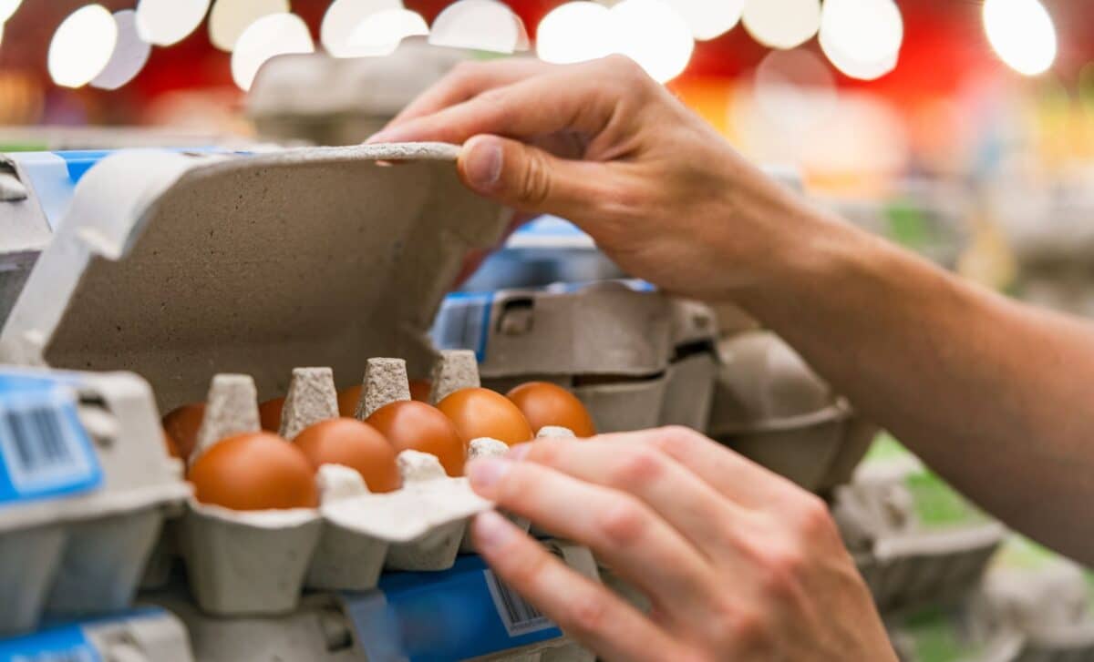 California egg recall