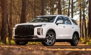 Hyundai palissade recall