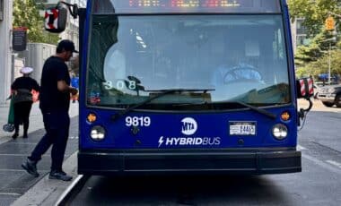 New York free transport