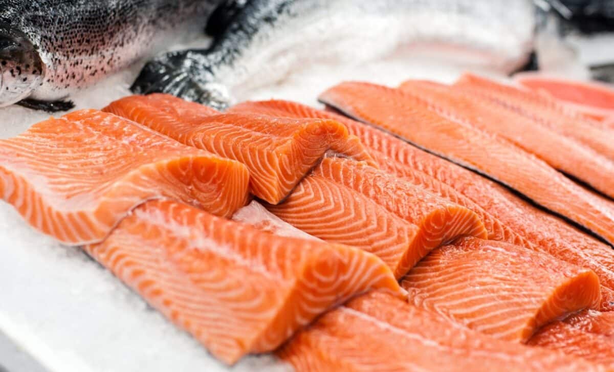 FDA salmon recall