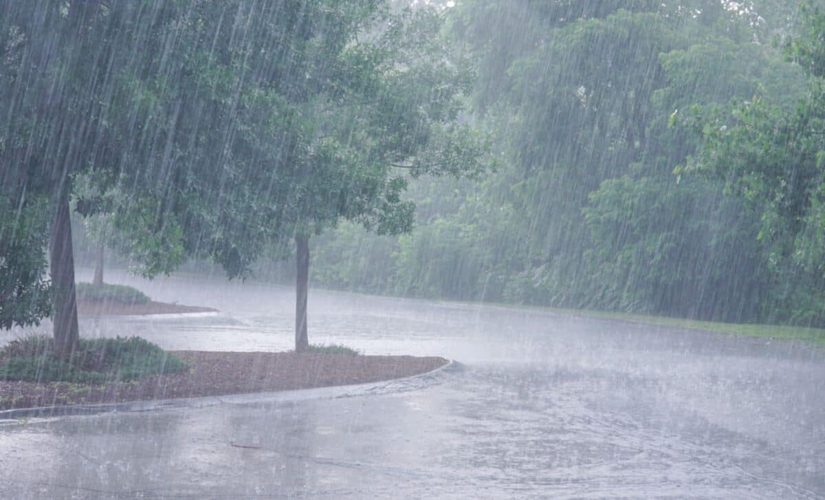 NWS Winter Weather Alert