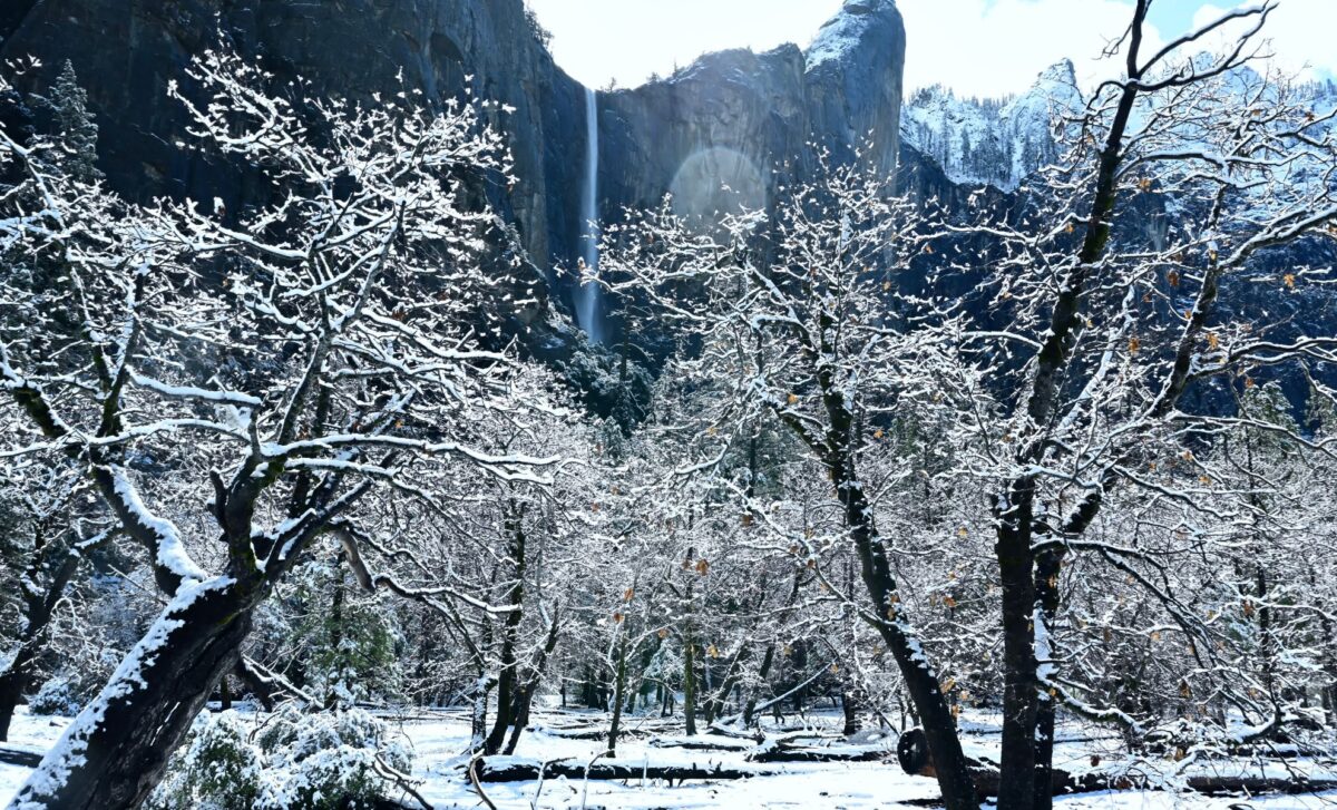 Up to 20 Inches of Snowfall Expected as States Brace for Severe Conditions