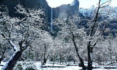 Up to 20 Inches of Snowfall Expected as States Brace for Severe Conditions