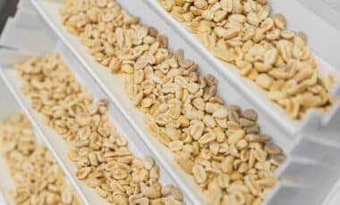 FDA Recall Alert Targets Popular Roasted Peanuts Sold Nationwide