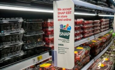SNAP Participation Plunges Across America, One State Saw a 50% Drop