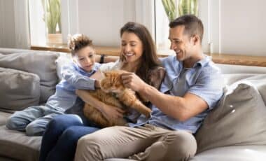 Pets Parents Could See $900 Back in Their Pockets Under New Law