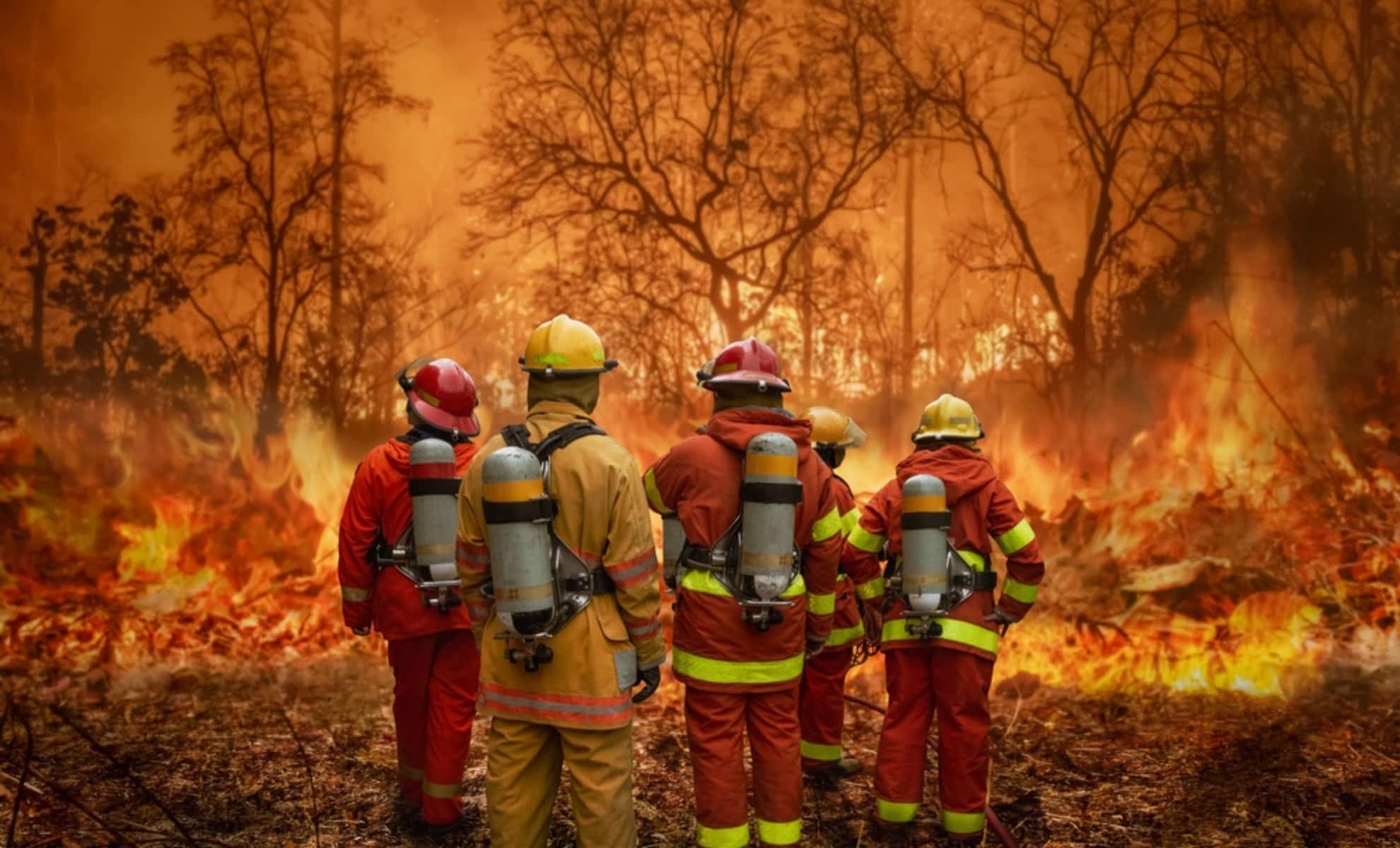 New Wildfire Programme Offers Homeowners Up to $5,000 in Financial Support