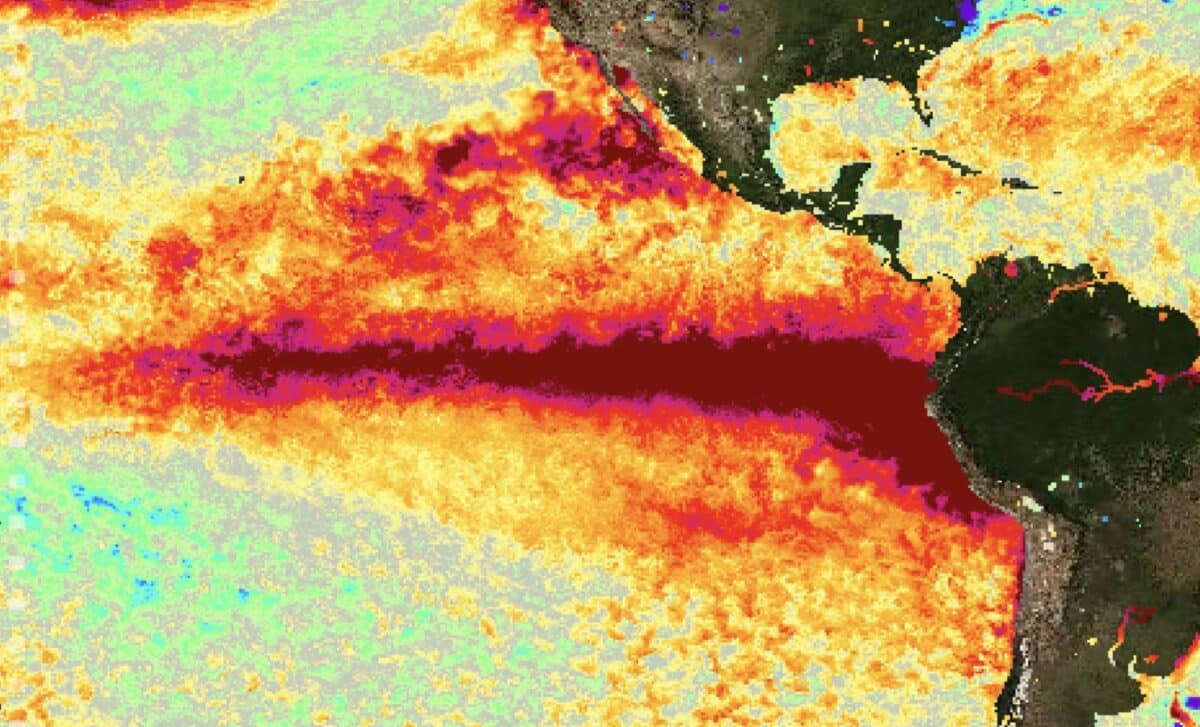 El Niño Threat Grows as Forecasters Identify the States Most at Risk This Winter