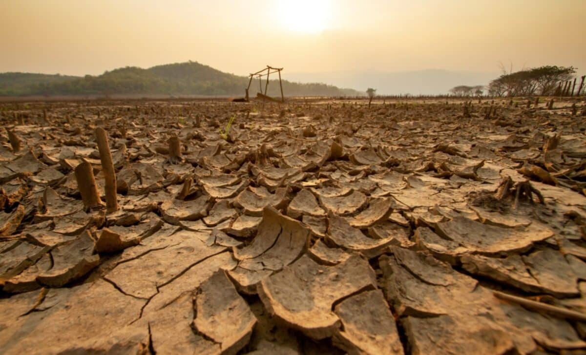The El Niño Effect: Why the World Is Preparing for a Disrupted Summer
