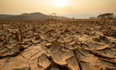 The El Niño Effect: Why the World Is Preparing for a Disrupted Summer