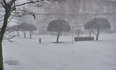 Snow storm