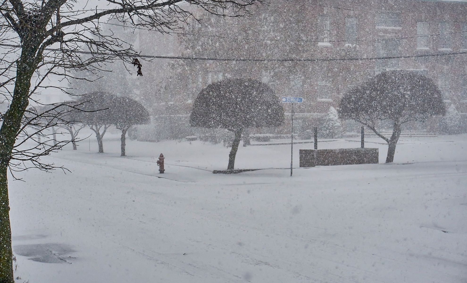 The First Snow Of 2026: Map Shows When Winter Will Reach Every Part Of ...