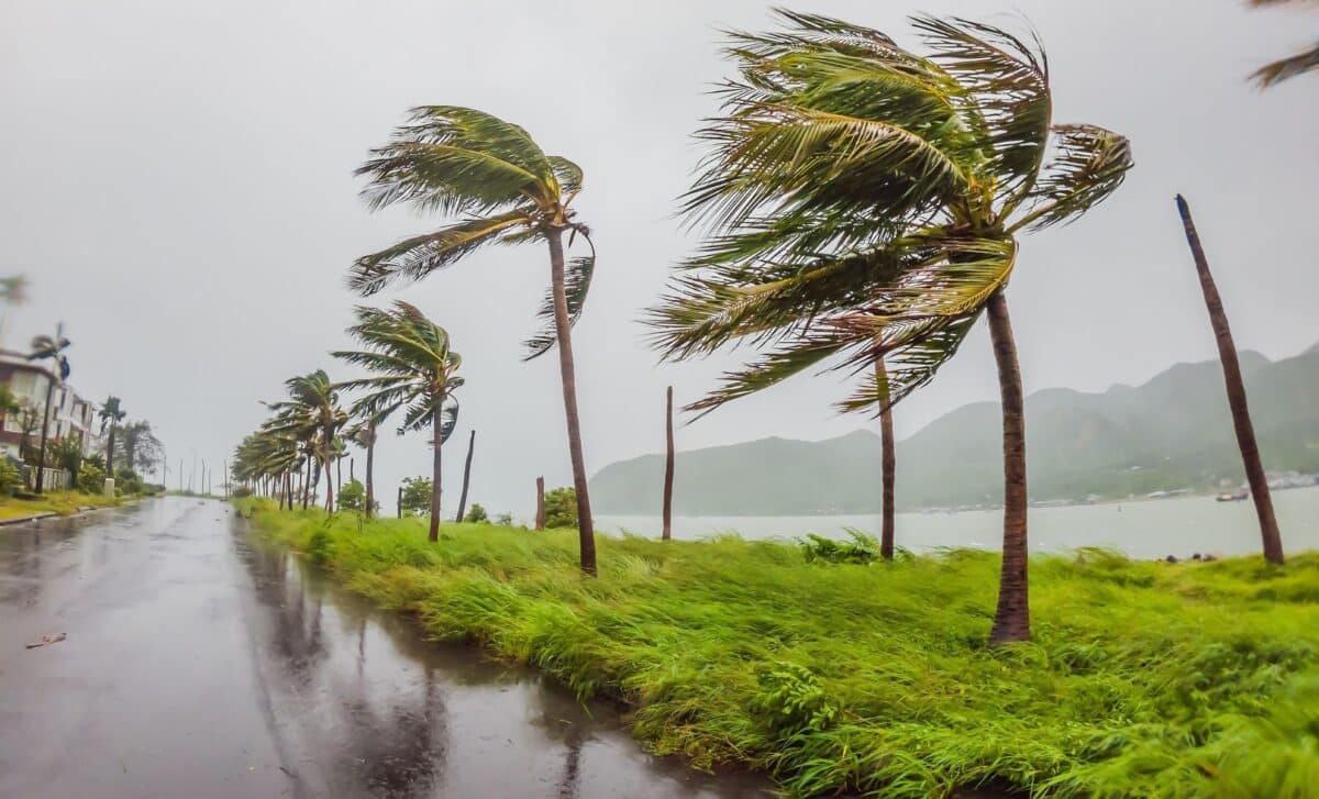 Tropical Storm Dolly Takes Aim at Caribbean Islands With New Forecast Revealed