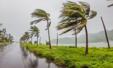 Tropical Storm Dolly Takes Aim at Caribbean Islands With New Forecast Revealed