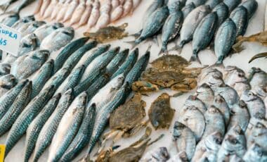 Variety of fish and seafood on display.