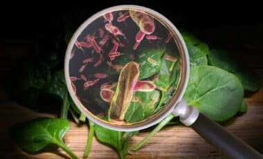 Food Poisoning Outbreak Grows: CDC Reportedly Expands Investigation to 15 States