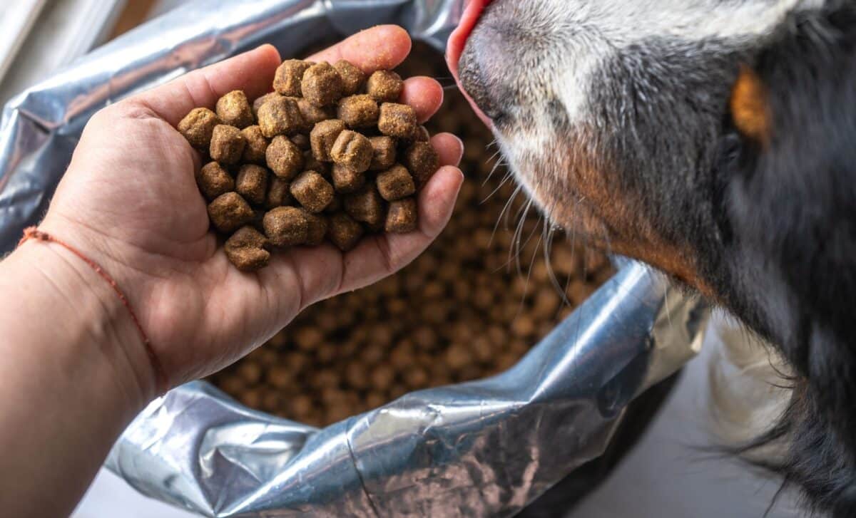 Raw Pet Food Recall Sparks Warning for Dog and Cat Owners Across the Country