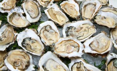Oyster Recall Expands Across the U.S. After 27 Salmonella Cases and Five Hospitalizations